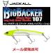 ジャッカル ビッグバッカー 107 チャートバックパールII 240245
