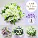 定期便 花「お供えおまかせアレンジメントＳ・３ヶ月コース（全３回）」お供え花 お悔み ご法要 ご命日 月命日 お盆 定期購入