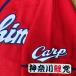 * бесплатная доставка * Hiroshima carp Kanagawa обыкновенный карп . белый ткань отвечающий . вышивка нашивка форма 