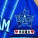 * бесплатная доставка * Yokohama DeNA Bay Star z столица рисовое поле . futoshi имя рукав вышивка нашивка форма 