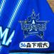 * бесплатная доставка * Yokohama DeNA Bay Star z лес внизу . большой имя 4 вышивка нашивка форма 