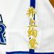 * бесплатная доставка * Yokohama DeNA Bay Star z Inoue .. имя 2 белый отвечающий . вышивка нашивка форма 