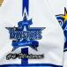 * бесплатная доставка * Yokohama DeNA Bay Star z раз .. блестящий имя 3 отвечающий . вышивка нашивка форма 