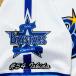 * бесплатная доставка * Yokohama DeNA Bay Star z камень рисовое поле . Taro имя 3 отвечающий . вышивка нашивка форма 
