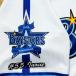 * бесплатная доставка * Yokohama DeNA Bay Star z Inoue .. имя 3 отвечающий . вышивка нашивка форма 
