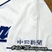 * бесплатная доставка * Chunichi Dragons лес гора . сырой имя 3 отвечающий . вышивка нашивка форма 