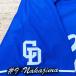 * бесплатная доставка * Chunichi Dragons средний остров .. имя 3 отвечающий . вышивка нашивка форма 