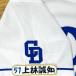 * бесплатная доставка * Chunichi Dragons сверху ... имя 4 отвечающий . вышивка нашивка форма 