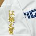 * бесплатная доставка * Hokkaido Nippon-Ham Fighters день ветчина .. большой . имя 2 белый вышивка нашивка форма для болельщиков 