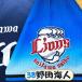 * бесплатная доставка * Saitama Seibu Lions Noda море человек имя 4 отвечающий . вышивка нашивка форма 