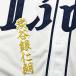 * бесплатная доставка * Saitama Seibu Lions уголь . серебряный .. имя 2 белый отвечающий . вышивка нашивка форма 
