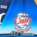 * бесплатная доставка * Saitama Seibu Lions нить река . futoshi имя 3 отвечающий . вышивка нашивка форма 