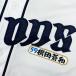 * бесплатная доставка * Saitama Seibu Lions ширина рисовое поле . мир имя 4 отвечающий . вышивка нашивка форма 
