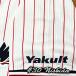 * бесплатная доставка * Tokyo Yakult Swallows запад рисовое поле Akira . имя 3 вышивка нашивка форма 