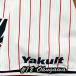 * бесплатная доставка * Tokyo Yakult Swallows внутри река .. имя 3 вышивка нашивка форма 