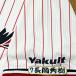 * бесплатная доставка * Tokyo Yakult Swallows Nagaoka превосходящий . имя 4 вышивка нашивка форма 