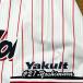 * бесплатная доставка * Tokyo Yakult Swallows Yoshimura ... имя 3 вышивка нашивка форма 