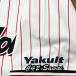 * бесплатная доставка * Tokyo Yakult Swallows ... имя 3 вышивка нашивка форма 