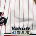 * бесплатная доставка * Tokyo Yakult Swallows ... имя 4 вышивка нашивка форма 