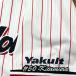 * бесплатная доставка * Tokyo Yakult Swallows север ... имя 3 вышивка нашивка форма 