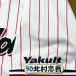 * бесплатная доставка * Tokyo Yakult Swallows север ... имя 4 вышивка нашивка форма 