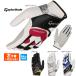  TaylorMade Golf UN146 Inter Cross 6.0 перчатка ( левый рука надеты / правый удар . для ) ( мужской )