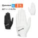  TaylorMade Golf UN162 T- Flex перчатка ( мужской )