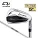 �e�[���[���C�h �S���t Qi IRONS �A�C�A�� 5�{�Z�b�g (#6�`PW) N.S.PRO NS�v�� 910GH �X�`�[��