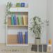  книжный шкаф ширина 60cm книжная полка мульти- подставка мелкие вещи место хранения подставка комикс подставка книжка end есть living Junior Junior мебель Kids мебель детский мебель ребенок предназначенный мебель 