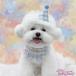 �o�[�X�f�C �X�^�C �y�b�g �X�q 2�_�Z�b�g �悾�ꂩ�� �a����  ���p �L�p �h�b�O�E�F�A �� �n�b�s�[ �o�[�X�f�[ ��� �L�O ������� ���K ���ꂢ�� �֘A�摜2