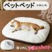  домашнее животное bed кошка собака кошка собака двоякое применение нежный покрытие удален возможность маленький размер собака THKJ домашнее животное диван коврик осень-зима futon спальное место домашнее животное через год кошка сопутствующие товары ... товары для домашних животных 
