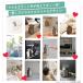 �\�[�v�f�B�X�y���T�[ ���� �X�e�����X �A �t�� �L�b�`�� �n���h�\�[�v �\�[�v �I�[�g �f�B�X�y���T�[ �[�d�� ������� �V���v�� ��� ��� ���ʏ� �Z���T�[ �֘A�摜1
