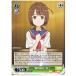 RG(2)Сǽվ(RR)(W13-026)