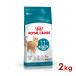  Royal kana nFHN старение стерео ARAI zdo11+ высота . кошка для 2kg (52905144) *. один человек sama 5 шт до [ кошка кошка сухой корм ]
