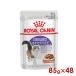  Royal kana nFHN-WET стерео ARAI zdo серый Be 85g×48 шт (52909986) *. один человек sama 1 шт до [ кошка кошка мокрый капот ]