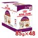  Royal kana nFHN-WET сенсор Lee вкус тест . суетиться для взрослой кошки 85g×48 (s5290097) *. один человек sama 1 шт до [ кошка кошка мокрый капот ]