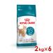 ���C�����J�i�� FHN �G�C�W���O15+ ����L�p 2kg�~6�� (s5290177) ������l�l1�܂� [�L �L���b�g �h���C�t�[�h]