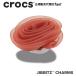  Crocs crocs[ аксессуары jibbitzji Bit'z ]NATURE1 //Dark Red Rosette/ темный красный ro Z / роза l10015658