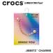  Crocs crocs[ аксессуары jibbitzji Bit'z ]Shoelry цепь 2 //Gold Anchor Chain/ Gold якорь цепь l10016607