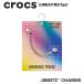  Crocs crocs[ аксессуары jibbitzji Bit'z ]Shoelry цепь 2 //Silver Anchor Chain/ серебряный якорь цепь l10016608