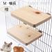  small animals bird morumototeg- chinchilla stage step 2 piece set scaffold natural tree domestic production hinoki cypress ... . tree width length playing place parakeet lato made in Japan 