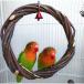 �� �C���R �~�܂�� �ی^ �T�[�N�� �g�C �V�я� �V�R�� �Z�L�Z�C�C���R �\�o�� �R�U�N���C���R �J�i���A �u�����R �� �} ���p�~�܂�� ���� �֘A�摜2