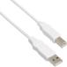 쥳 USB֥ B USB2.0 (USB A  to USB B ) RoHS 5m ۥ磻 USB2-ECO50W