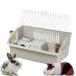 morumoto клетка ...kyabie80 DX cavie 80 DX house мелкие животные для Италия ferplast производства 