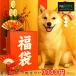 [ ограниченное количество товар ]2026 год новый Try p собака 3300 иен лотерейный мешок товары для домашних животных наслаждение пакет 