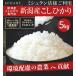 米 5kg お米 コシヒカリ  新潟県産 白米 令和元年産 送料無料 ミシュラン店様御用達 クーポン タイムセール