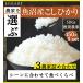 新米 コシヒカリ 5kg×2袋 10kg 新潟県産こしひかりスペシャルセレクト 米 お米 白米 玄米 選べる 令和元年産 送料無料 タイムセール