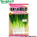 to- ho k овощи. вид / семена лук порей . желтый 9 статья маленький лук порей внутри емкость 7ml вид ( возможность слежения талант почтовая доставка отправка единый по всей стране 370 иен )02373