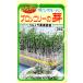to- ho k овощи. вид / семена брокколи. . внутри емкость 20ml вид ( возможность слежения талант почтовая доставка отправка единый по всей стране 370 иен )03558