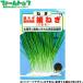 utane овощи. вид / семена лук порей лист лук-батун приправа для . маленький лук порей внутри емкость 6ml вид ( возможность слежения талант почтовая доставка отправка единый по всей стране 370 иен )16557